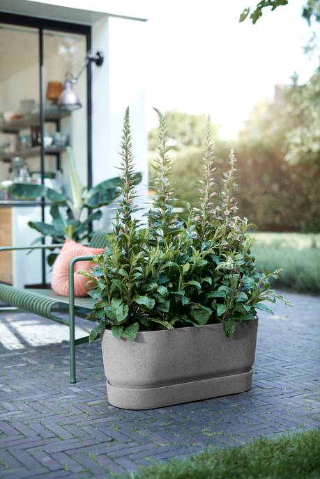 greenville terrace trough 80cm wheels living concrete